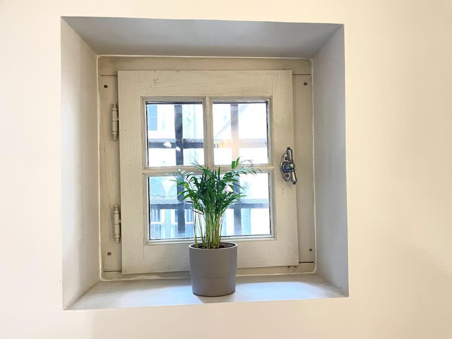 Duplex Avec Terrasse En Hypercentre De Grenoble 아파트 외부 사진
