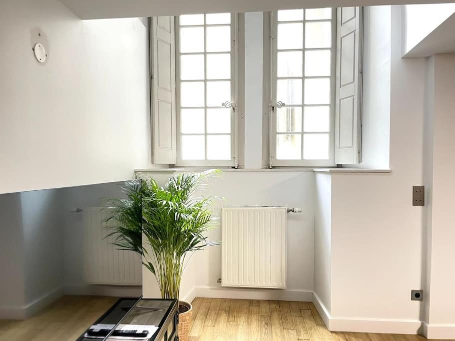 Duplex Avec Terrasse En Hypercentre De Grenoble 아파트 외부 사진